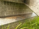 image of grave number 297165